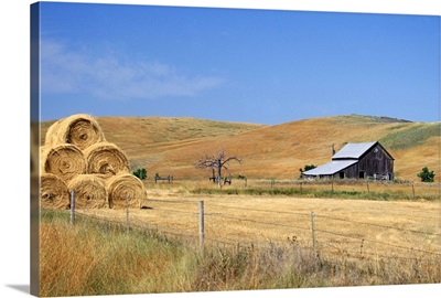 USA, South Dakota, Bales of hay in a farm