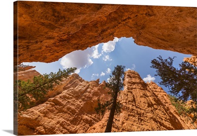 USA, Utah, Bryce Canyon, Navajo Loop Trail, Tall Pine trees