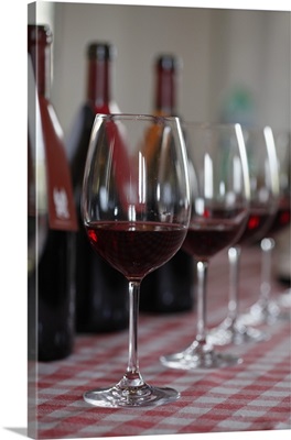 Various bottles of red wine with wineglasses in front at a wine tasting