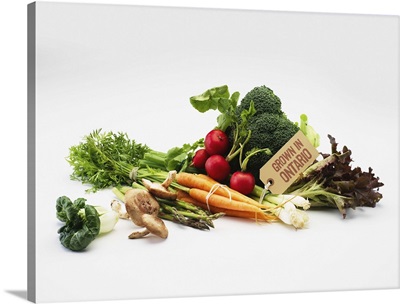Various types of vegetables and mushrooms with label on white background