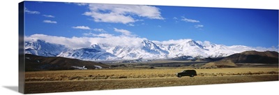 Vehicle on Highway 395 with Eastern Sierras in background