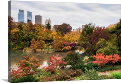View of the Central Park Pond and the New York skyline. The foliage is at peak color.