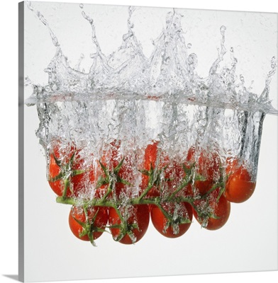 Vine tomatoes falling into water against white background