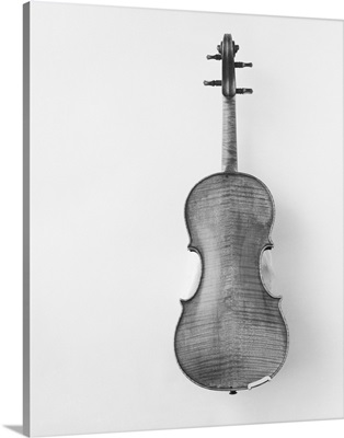 Violin against white background, close-up