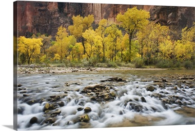 Virgin River, Zion National Park