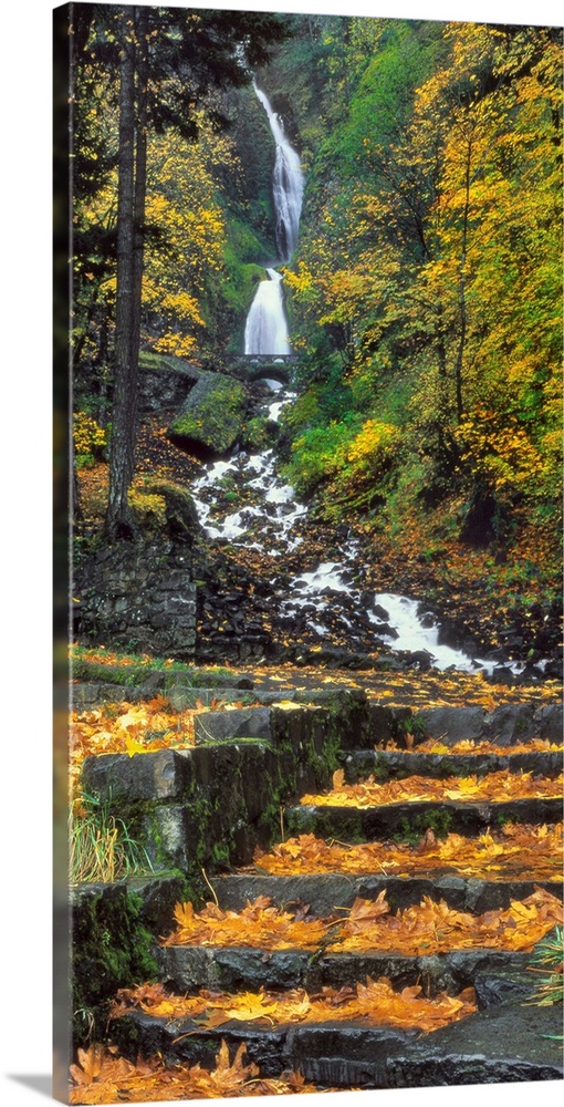 Wahkeena Falls in autumn in Columbia River Gorge National Scenic Area, Oregon