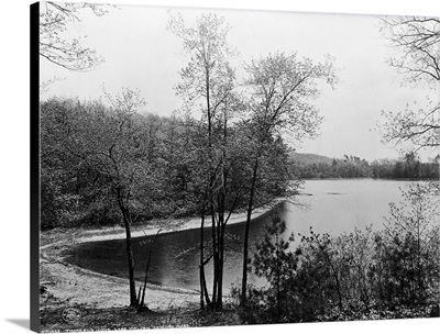 Walden Pond From Henry David Thoreau's Hut