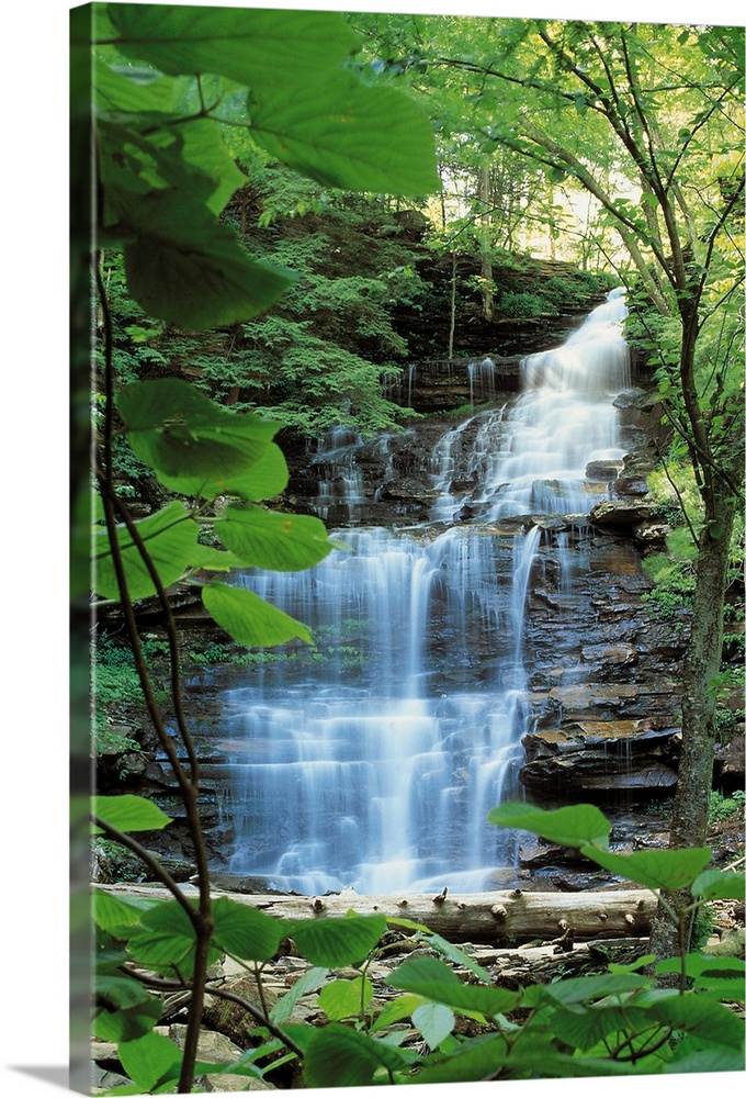 Waterfall at Rickets Glen State Park , Pennsylvania