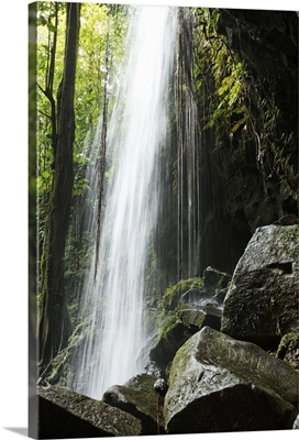 Waterfall, in rainforest, Dominica, Emerald Pool