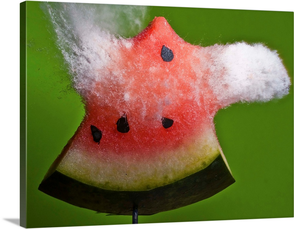 A slice of watermelon explodes in a spray from a high speed impact.