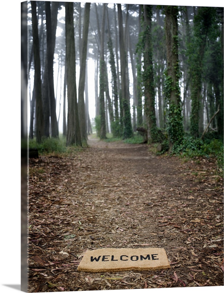 Welcome mat on ground at entrance to forest