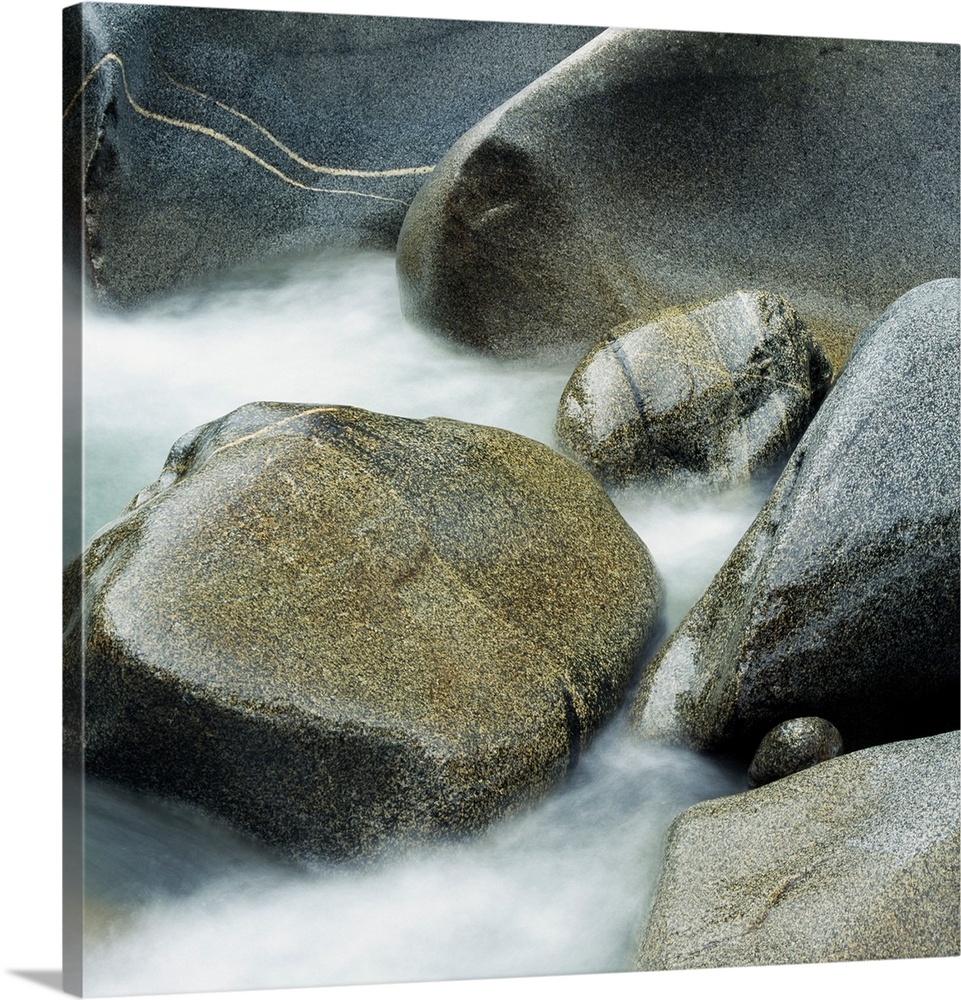 Close up of rocks and water in Westland National Park, South Island, New Zealand