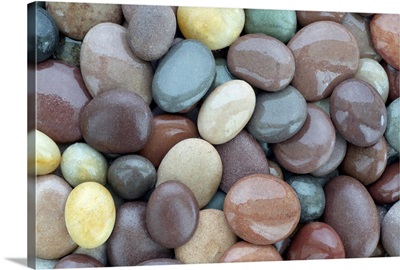 Wet shiny granite pebbles on beach, full frame