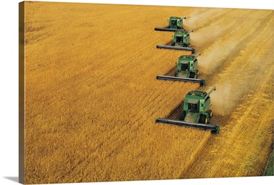 Wheat field being harvested