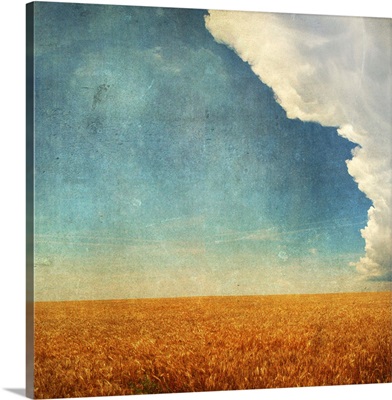 Wheat field with textured storm