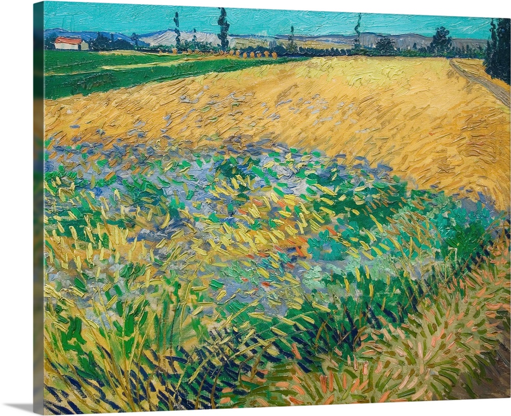 1888. Oil on canvas. 54 x 65 cm. Located in the Van Gogh Museum, Amsterdam, Netherlands.