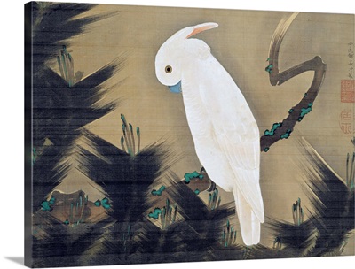 White Cockatoo On A Pine Branch By Ito Jakuchu