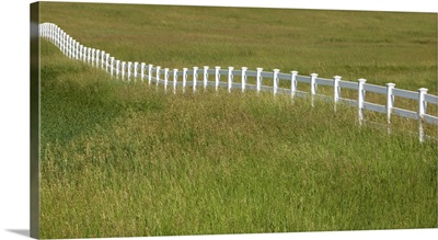White ranch fence on meadow