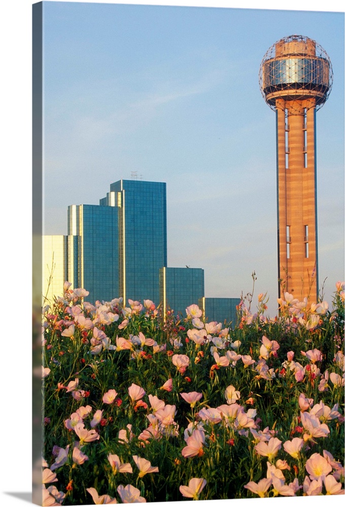 'Wildflowers and Dallas, TX skyline at sunset with Reunion Tower'