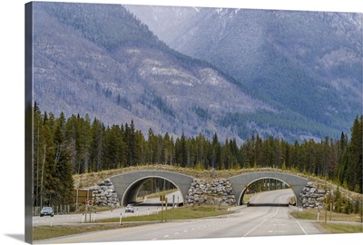 Wildlife overpass crossing, Banff, Alberta, Canada