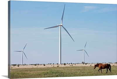 Wind Farm, Vega, Texas