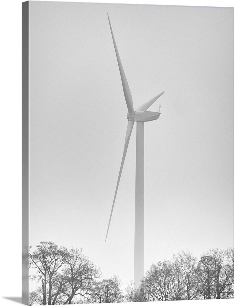England, Northumberland, Plessey Woods Country Park. Wind Turbine on a foggy day, located alongside the Plessey Woods Coun...