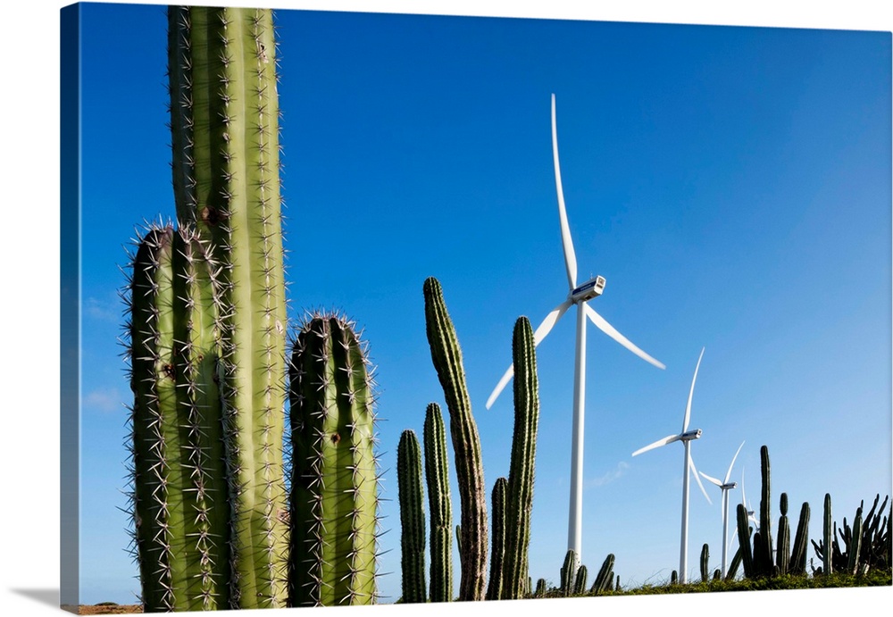 Aruba, Wind turbines and cactus in Arikok National Wildlife Refuge at Windmolenpark Vader Piet.