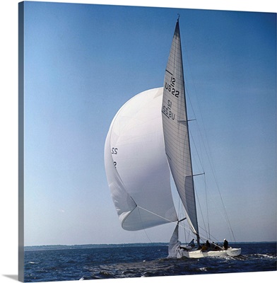 Windblown Sails of Yacht Intrepid on Open Sea
