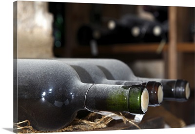 Wine bottles covered with dust