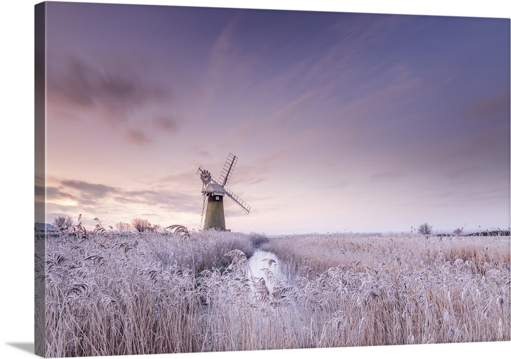 Frost on the reeds in front of St. Bennets mill at sunrise on the Norfolk Broads.