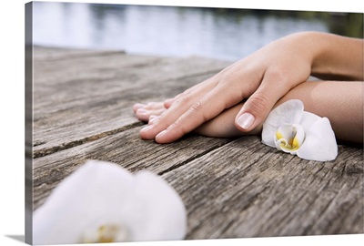 Woman's hands with petals of white orchids