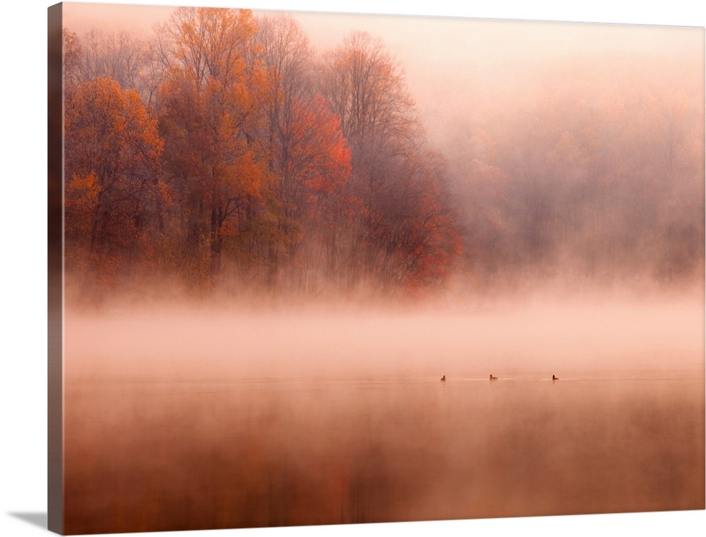 Wonderfully foggy morning on Hopewell Lake.