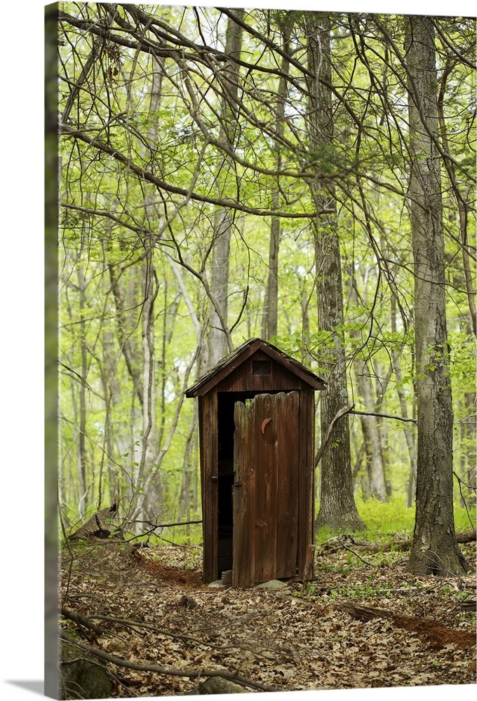 Wooden outhouse in the forest Wall Art, Canvas Prints, Framed Prints