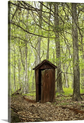 Wooden outhouse in the forest