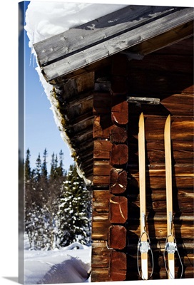 Wooden skies leaning against log cabin in winter