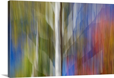 Woodland Abstract Using Intentional Camera Movement