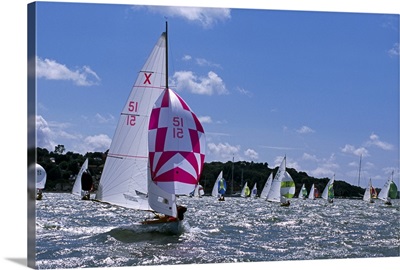 Yachts with spinnakers set, Cowes Week Regatta