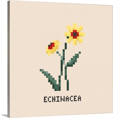 Yellow Echinacea Pixel Art