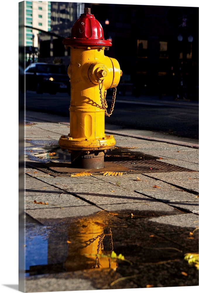 Yellow fire hydrant with red top partially reflected in puddle of water on city sidewalk with some buildings and car in da...