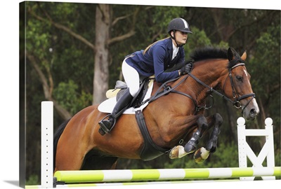 Young Woman Horseback Rider Jumping Fence