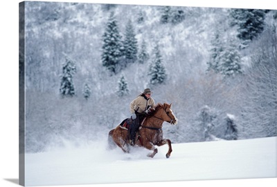 Young woman winter horseback ride