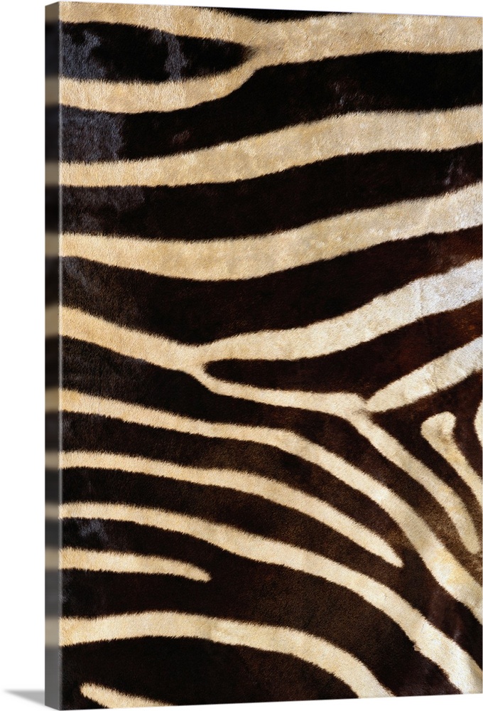 Zebra pattern is pictured closely and fully takes up this large piece.