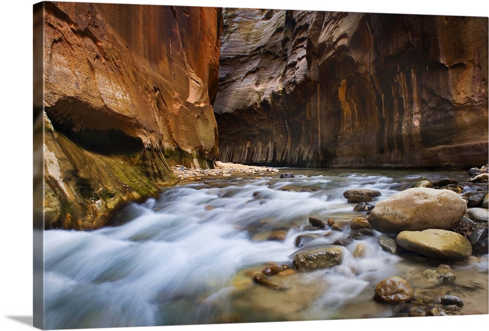 The Virgin River flowing through the Zion canyon narrows, Zion National Park Utah USA
