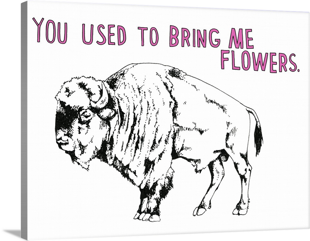 Black and white illustration of a bison with the phrase "You Use to Bring Me Flowers" handwritten at the top in pink.