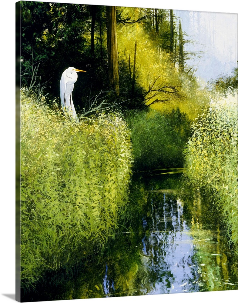Contemporary painting of an egret perched on a branch above a river flowing through a wetland.