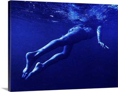Blue Swimmer 2