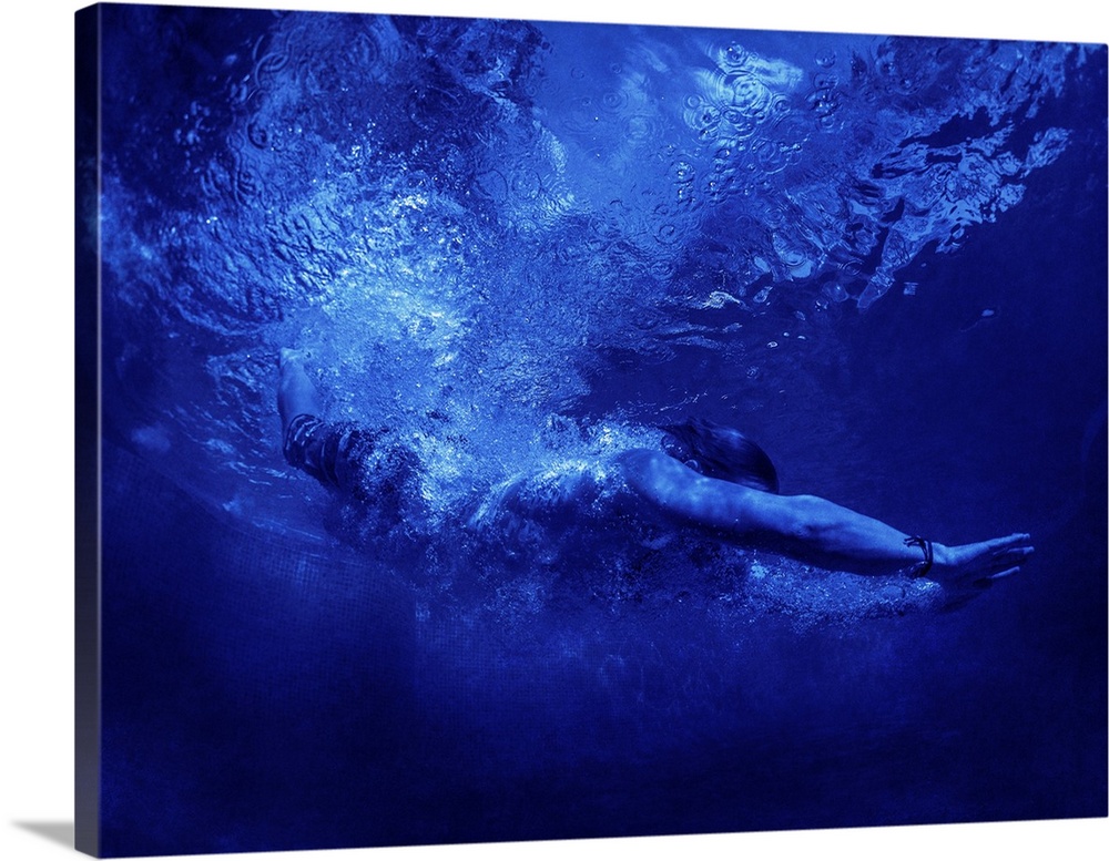 Blue Swimmer 4