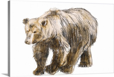 Brown Bear 1