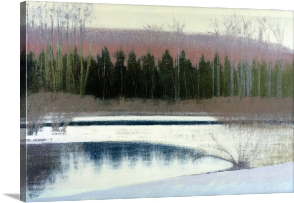 Trees along the edge of a frozen lake.