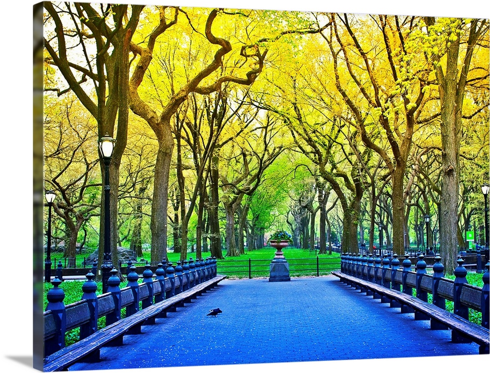 Vividly colored photograph of a bridge surrounded by trees in Central Park.